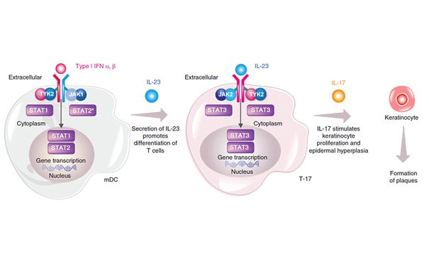 Bristol-Myers Squibb (BMS) presented 2-year data from the POETYK PSO long-term extension trial of the novel oral TYK2 inhibitor deucravacitinib